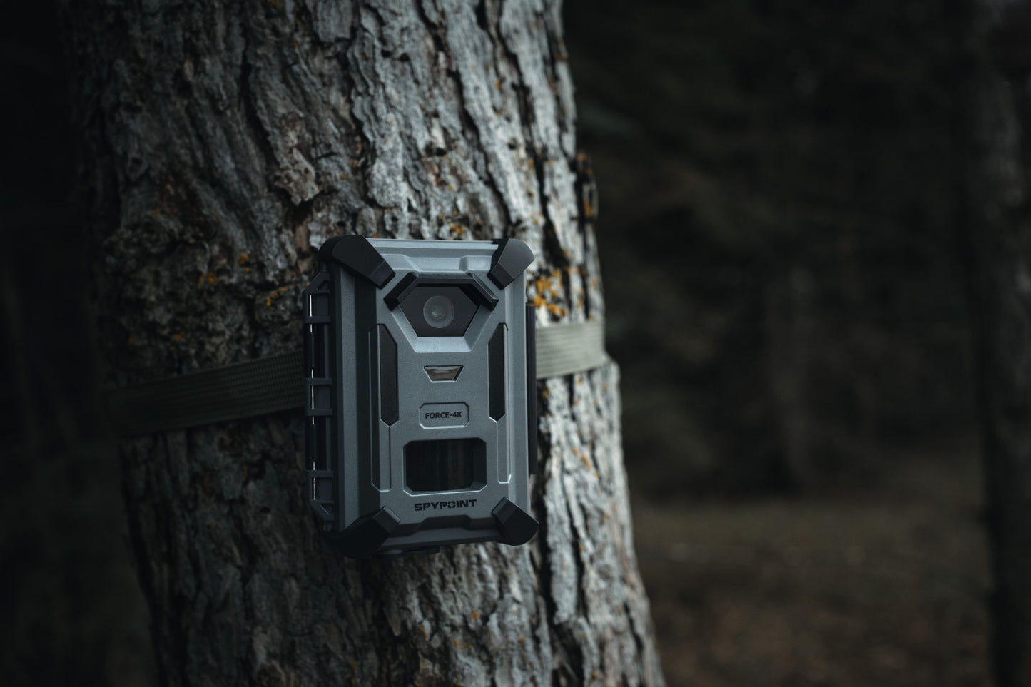 SPYPOINT FORCE-4K Non-Cellular Wildlife Camera