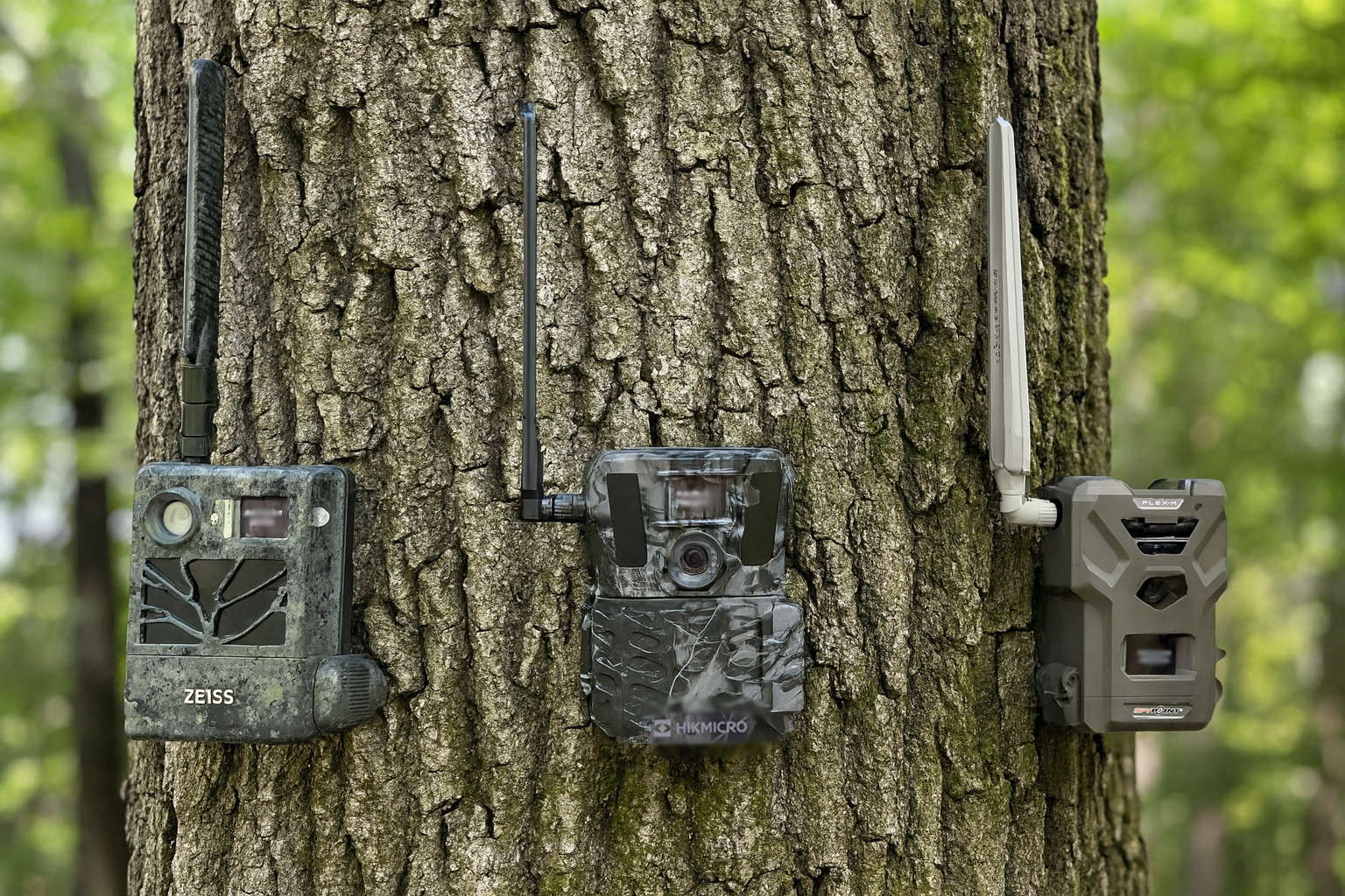 The Ultimate Guide to Choosing the Best Trail Camera for Wildlife Moni ...