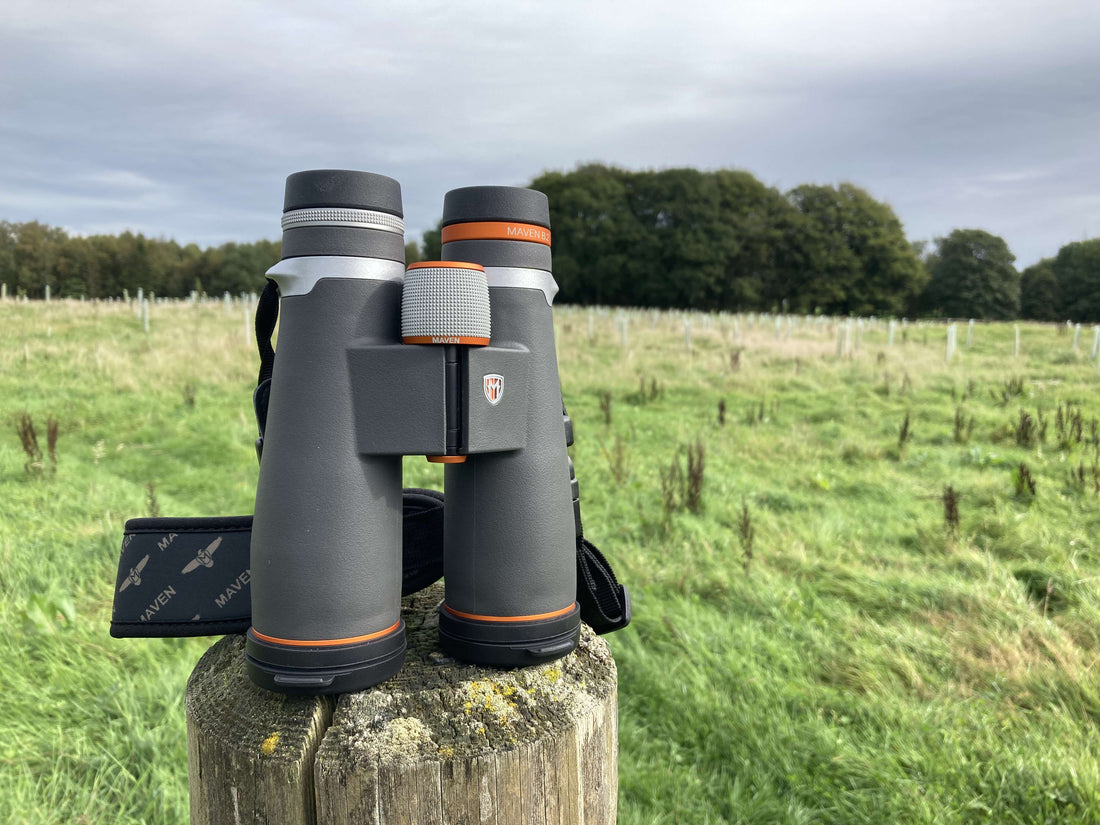 Upgrading Your Birding Experience: When to Invest in Premium Binoculars