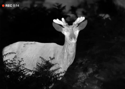 Thermal Imaging