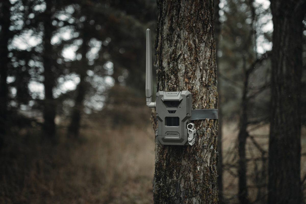 SPYPOINT FLEX-M2 Cellular Wildlife Camera Twin Pack