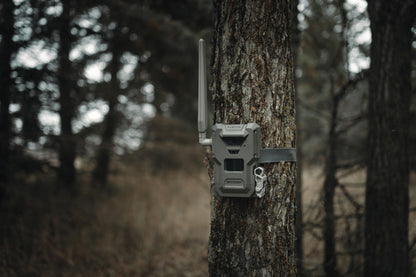 SPYPOINT FLEX-M2 Cellular Wildlife Camera Twin Pack