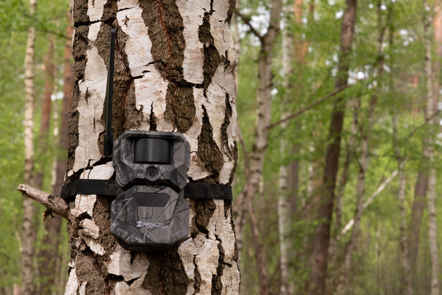 HIKMICRO T16 4G Wildlife Camera