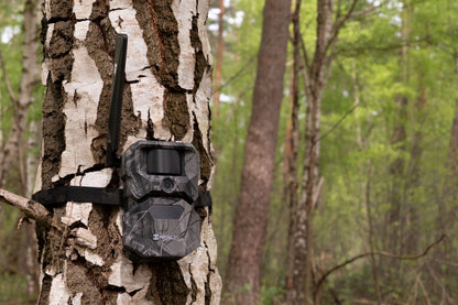 HIKMICRO T16 4G Wildlife Camera