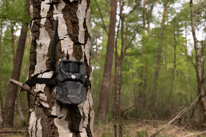 HIKMICRO T16 4G Wildlife Camera