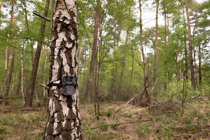 HIKMICRO T16 4G Wildlife Camera