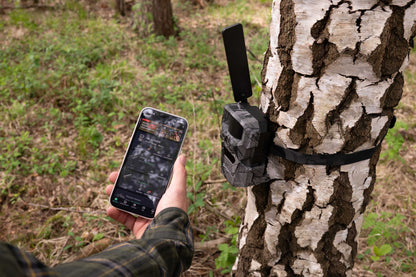 HikMicro T16 Wildlife Camera (Twin Pack)