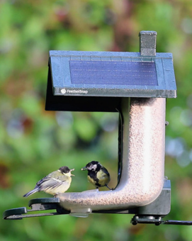  Feathersnap Smart WiFi Bird Feeder 