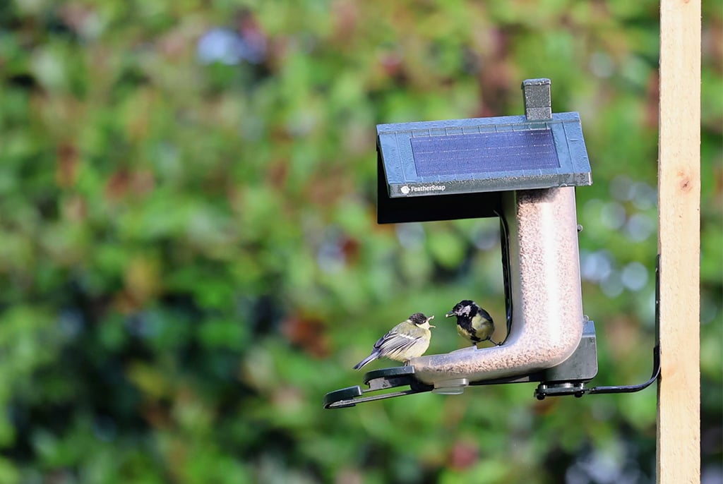 Feathersnap Smart WiFi Bird Feeder