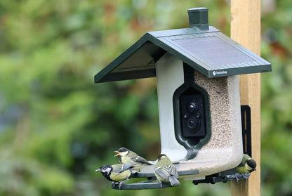 Feathersnap Smart WiFi Bird Feeder
