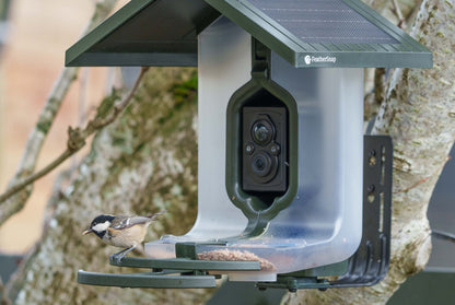 Feathersnap Smart WiFi Bird Feeder
