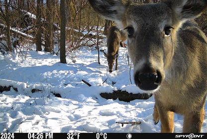 Spypoint Flex M Cellular Trail Camera System
