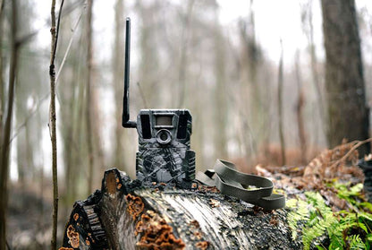 HikMicro M15 Wildlife Camera 4G Enabled Trail Camera