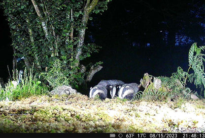 HikMicro M15 Wildlife Camera 4G Enabled Trail Camera