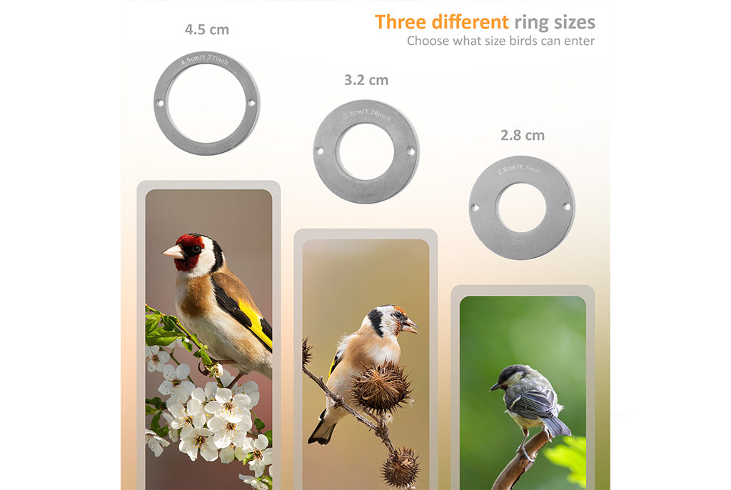 Camouflage EZ-Nest Eye Smart Bird Box Camera