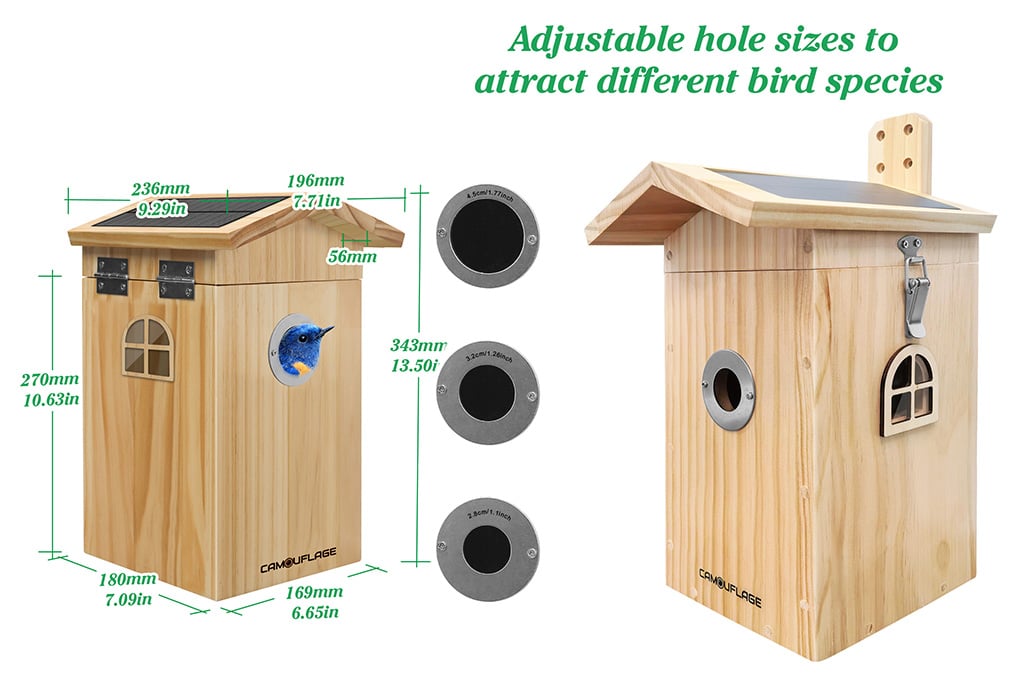 Camouflage EZ-Nest Eye Smart Bird Box Camera