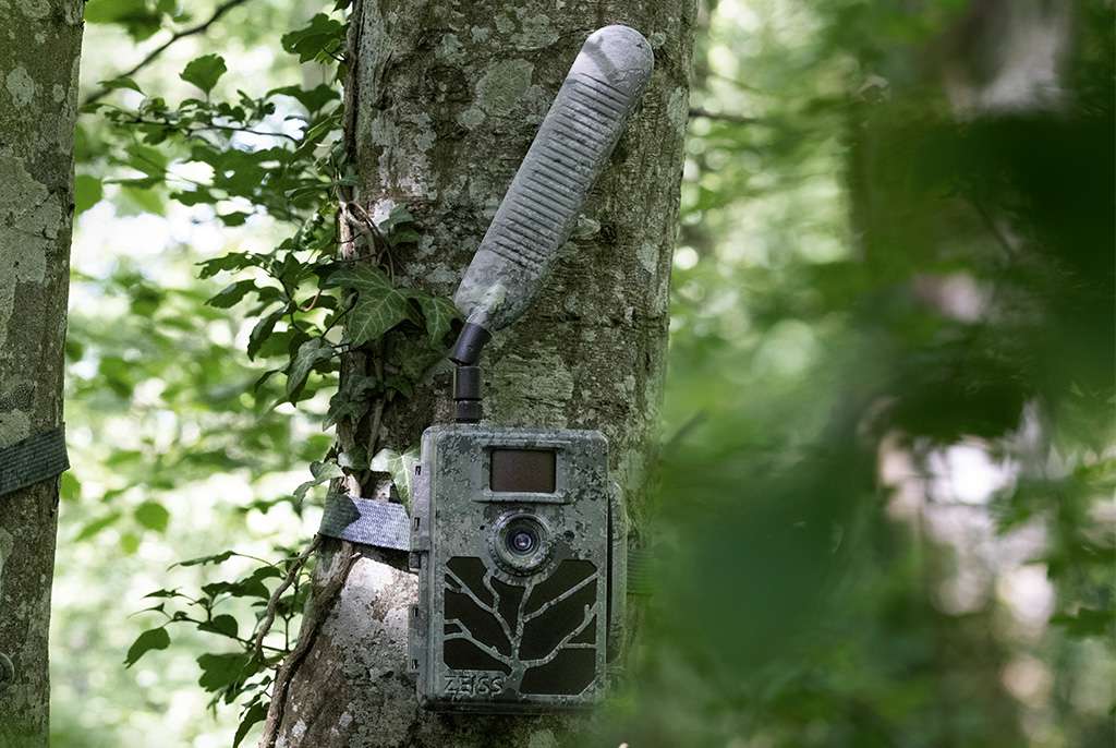 Zeiss Secacam 5 Cellular Wildlife Camera