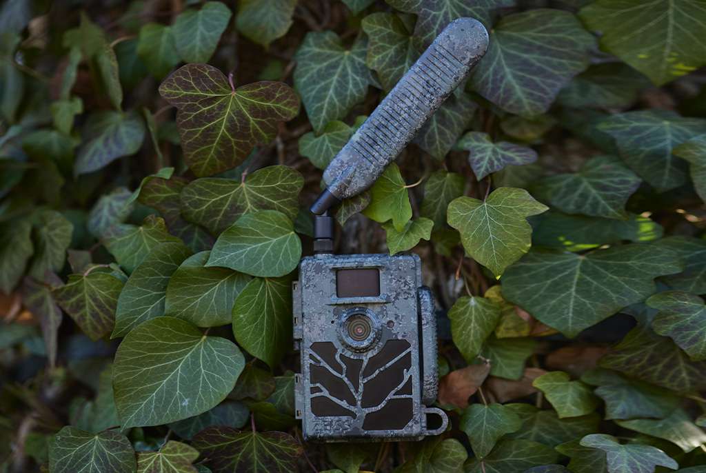 Zeiss Secacam 5 Cellular Wildlife Camera