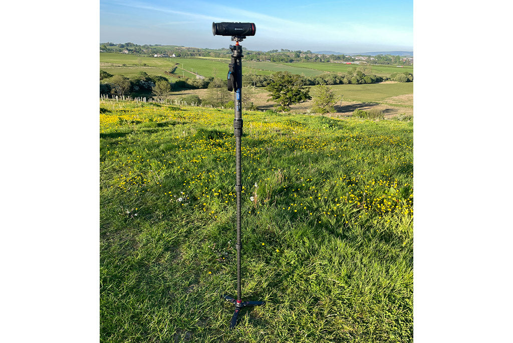 Leofoto MP-365C Monopod with VD-02 Base