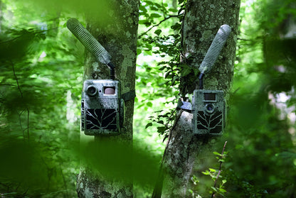 Zeiss Secacam 5 Cellular Wildlife Camera