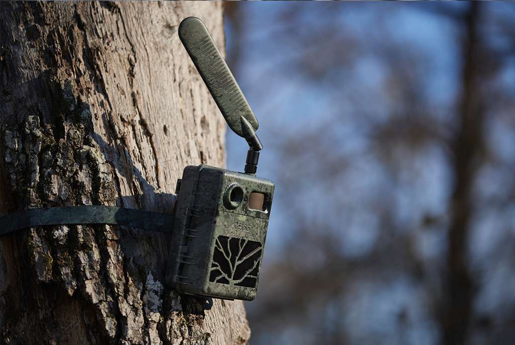 Zeiss-Secacam-7-wildlife-camera-on-tree